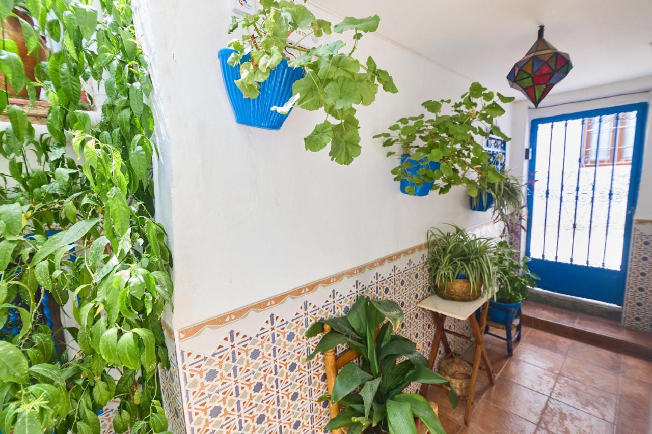 Apartment Casa El 
