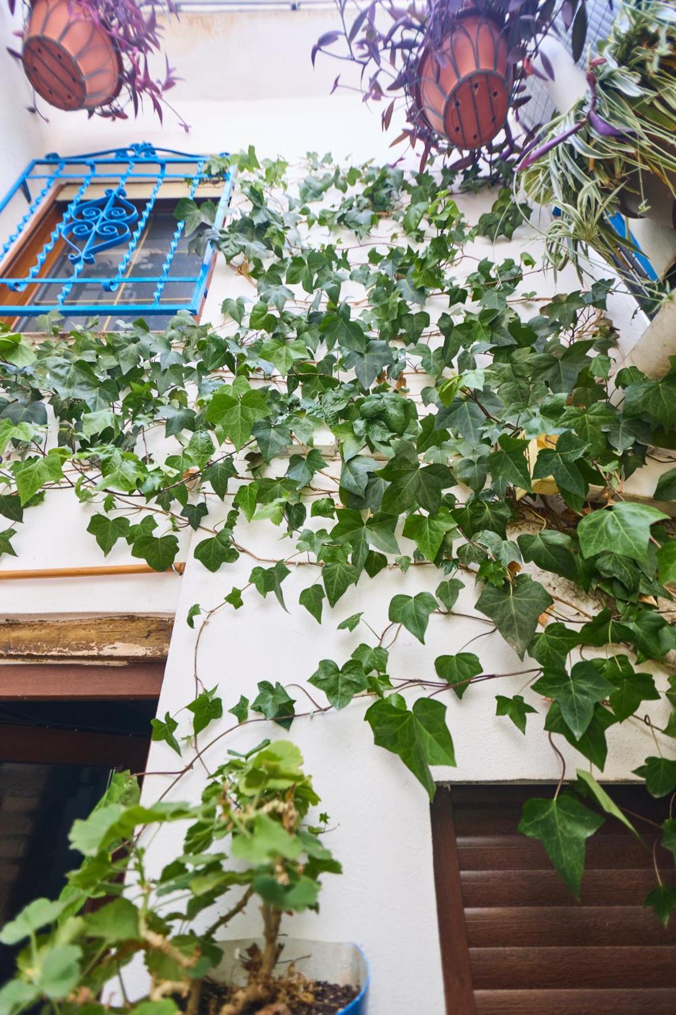 Casa El 
